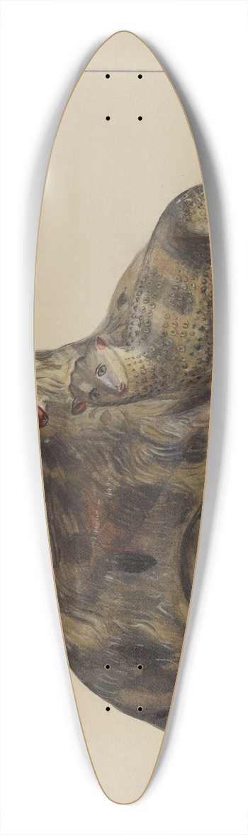 Mina Lowry - Pa. German Chalkware Lamp and Sheep 39.3 inch art pintail longboard deck