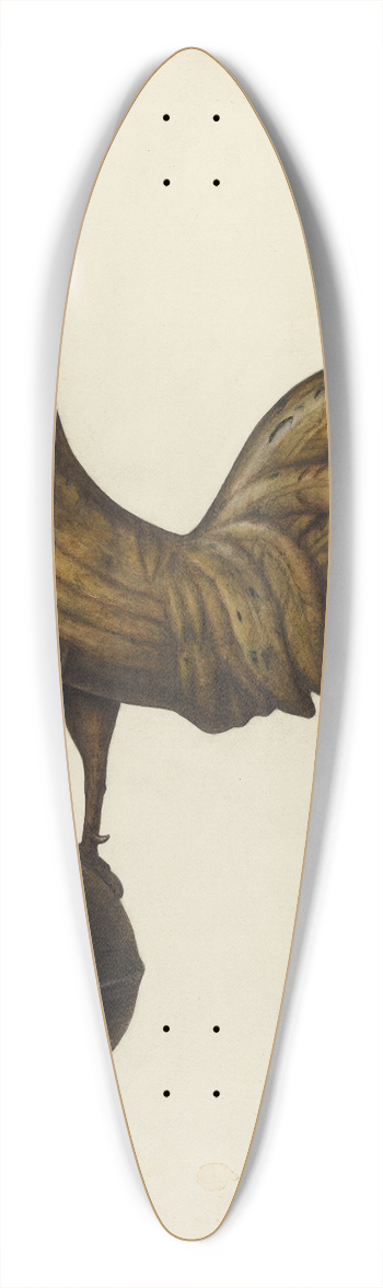 Mina Lowry - Weather Vane  Cock 39.3 inch art pintail longboard deck