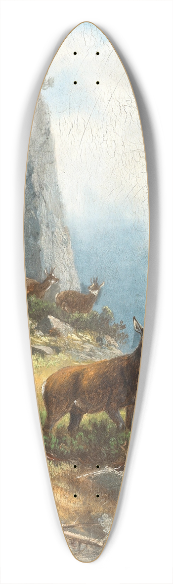 Moritz Mller - A Chamois High in the Mountains 39.3 inch art pintail longboard deck