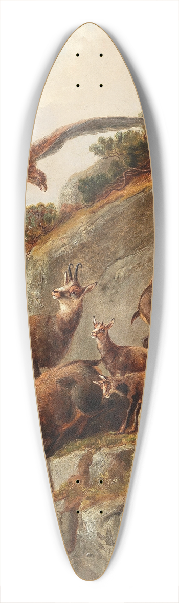 Moritz Mller - Chamois and Eagle on a Steep Cliff Face 39.3 inch art pintail longboard deck