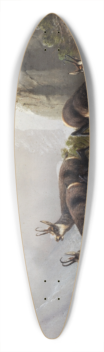 Moritz Mller - Chamois, persecuted by an Eagle 39.3 inch art pintail longboard deck