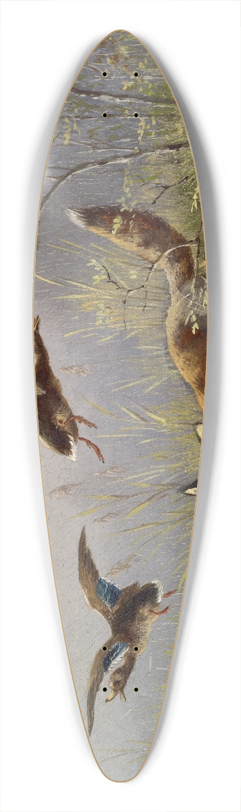 Moritz Mller - Fox Chasing Ducks 39.3 inch art pintail longboard deck