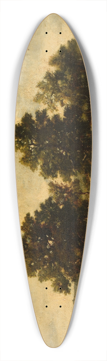 Narcisse-Virgile Diaz de La Pea - Mare dans une lande 39.3 inch art pintail longboard deck