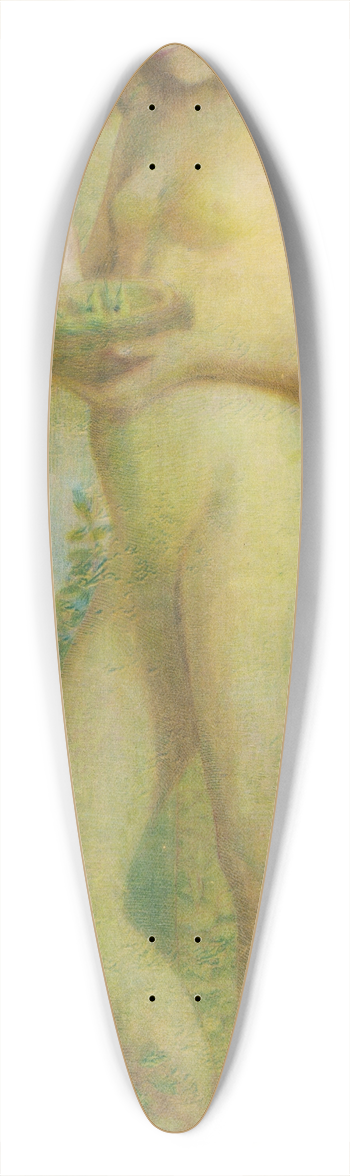 Newton A. Wells - Spring 39.3 inch art pintail longboard deck