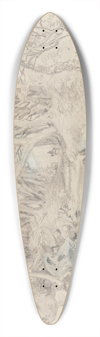 Nicholas Chevalier - Near Alexanders accommodation house 39.3 inch art pintail longboard deck