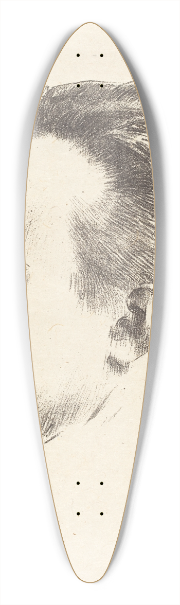 Odilon Redon - Maurice Denis 39.3 inch art pintail longboard deck
