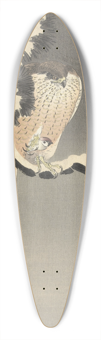 Ohara Koson - Hawk with sparrow 39.3 inch art pintail longboard deck