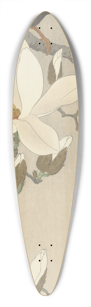 Ohara Koson - Myna on Magnolia Branch 39.3 inch art pintail longboard deck