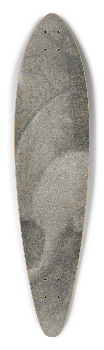 Otto Scholderer - Toter Schwan vor Trauerweide 39.3 inch art pintail longboard deck