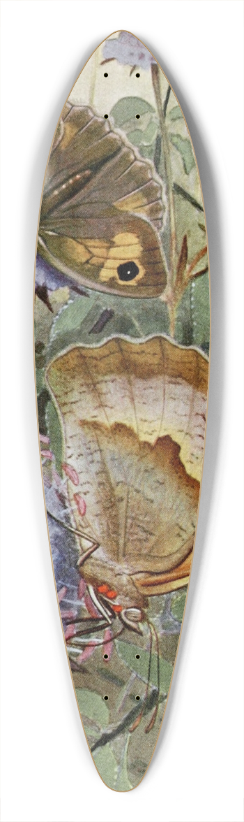 Paul-Andre Robert - Le Myrtil 39.3 inch art pintail longboard deck