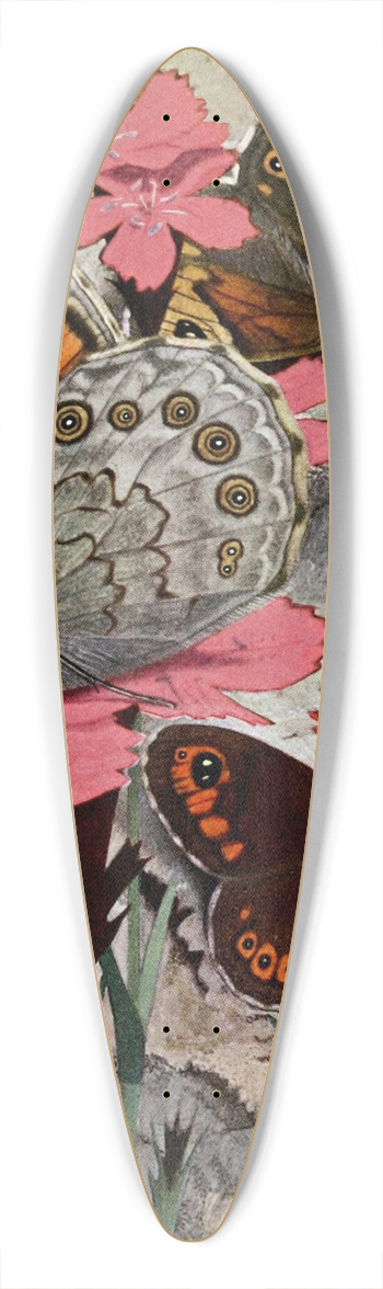 Paul-Andre Robert - Le Nmusien 39.3 inch art pintail longboard deck