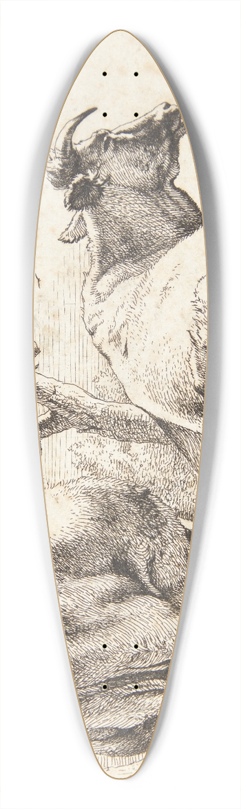Paulus Potter - To ker, set bagfra 39.3 inch art pintail longboard deck