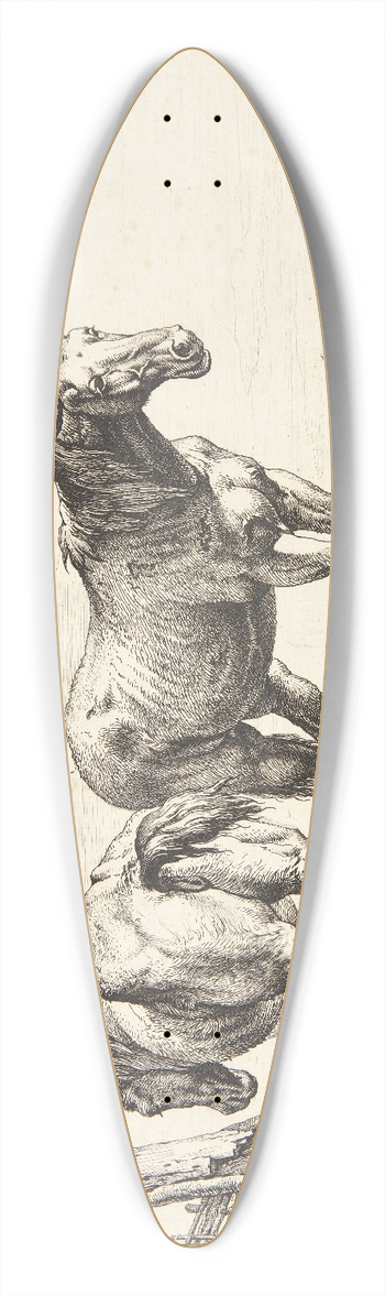 Paulus Potter - To pljeheste 39.3 inch art pintail longboard deck