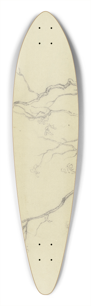 Peter Burnitz - Bush 39.3 inch art pintail longboard deck