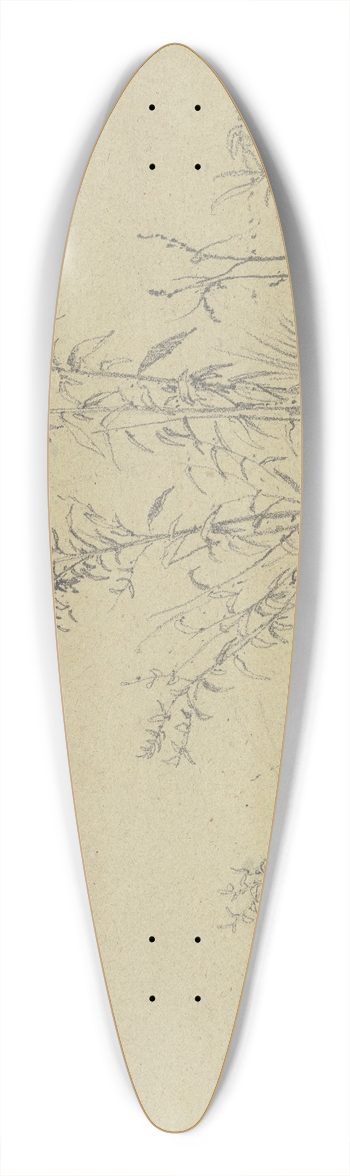 Peter Burnitz - Turf 39.3 inch art pintail longboard deck