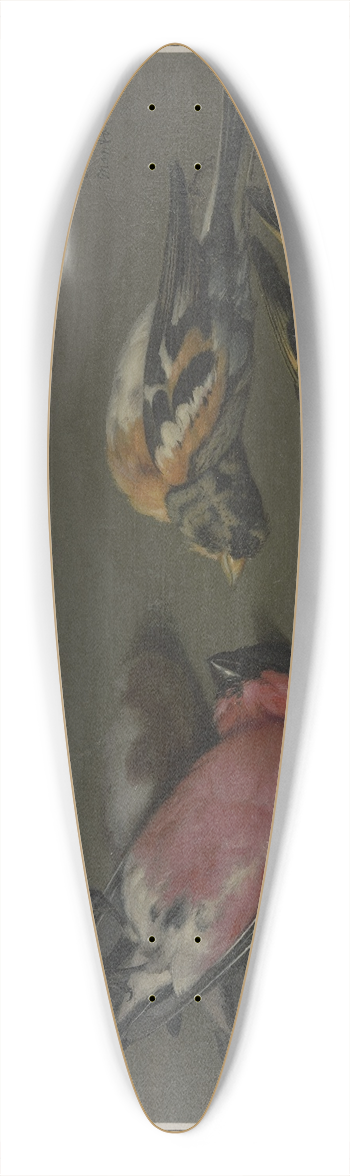 Philipp Ferdinand de Hamilton - Five dead birds 39.3 inch art pintail longboard deck