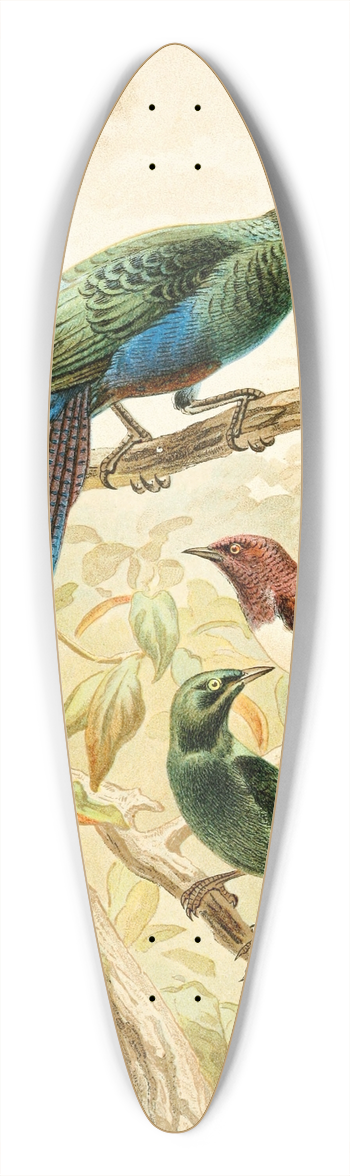 Pierre Jacques Smit - Glossy Starlings 39.3 inch art pintail longboard deck