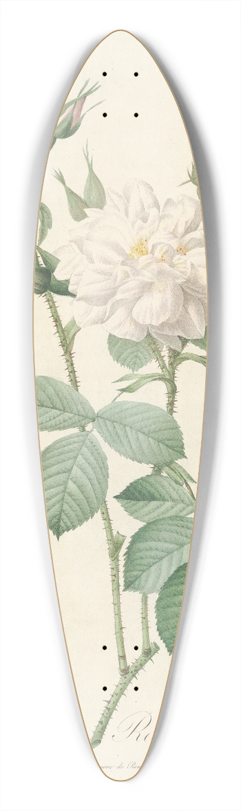 Pierre Joseph Redout - Rosa Bifera Alba 39.3 inch art pintail longboard deck