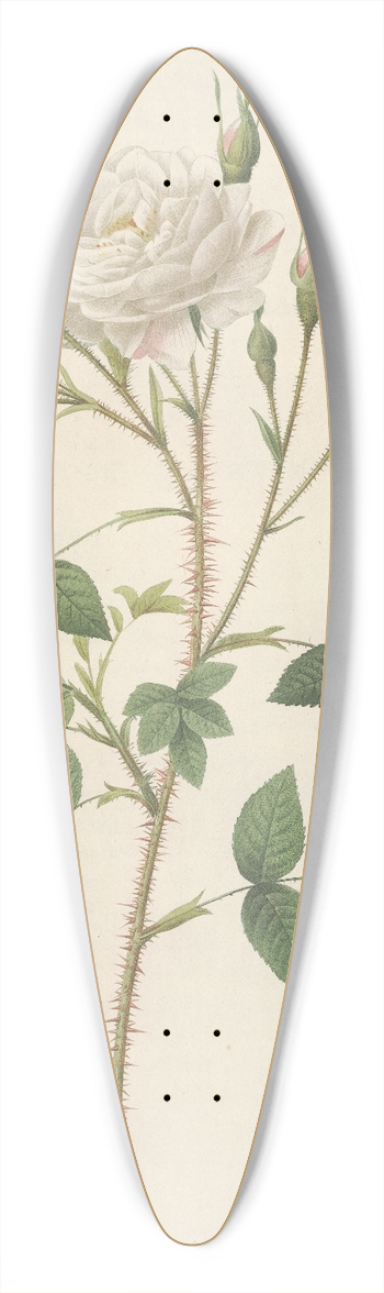Pierre Joseph Redout - Rosa Rosenbergiana 39.3 inch art pintail longboard deck
