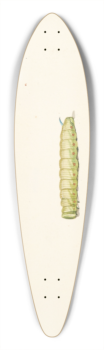 Pieter Holsteijn - Tre insektstudier 39.3 inch art pintail longboard deck