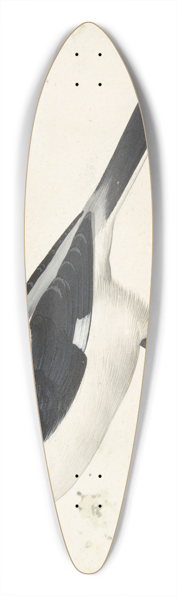 Pieter Holsteyn II - A Great Grey Shrike 39.3 inch art pintail longboard deck