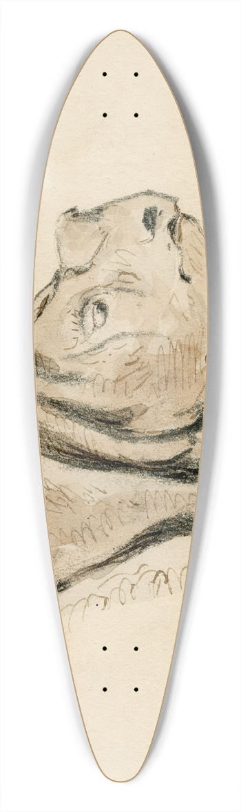 Pieter van Loon - Het nijlpaard in de Engelse dierentuin 39.3 inch art pintail longboard deck