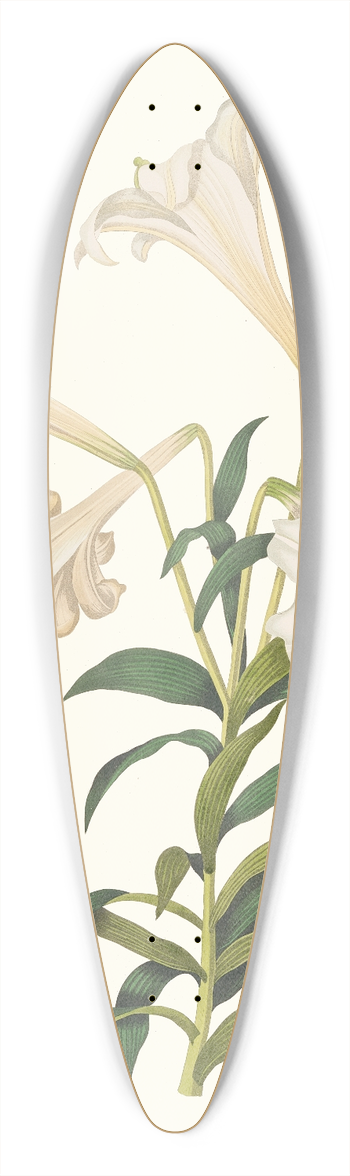 Priscilla Susan Bury - Lilium Longiflorum. 39.3 inch art pintail longboard deck
