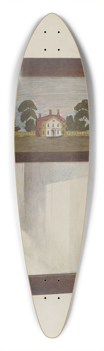 Raymond Neumann - Mirror 39.3 inch art pintail longboard deck