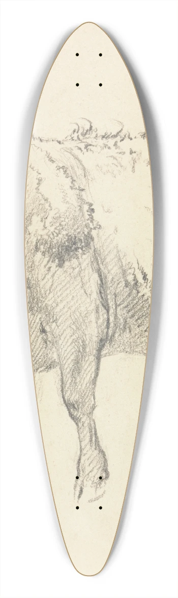 Robert Hills - A Bull 39.3 inch art pintail longboard deck