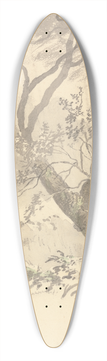 Robert Hills - The Wood 39.3 inch art pintail longboard deck