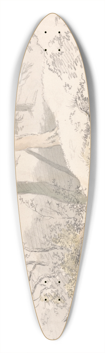 Robert Hills - Woodland Shadow 39.3 inch art pintail longboard deck