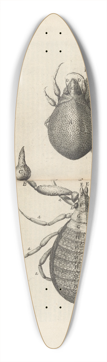 Robert Hooke - Microscopic view of mites and book-worms 39.3 inch art pintail longboard deck