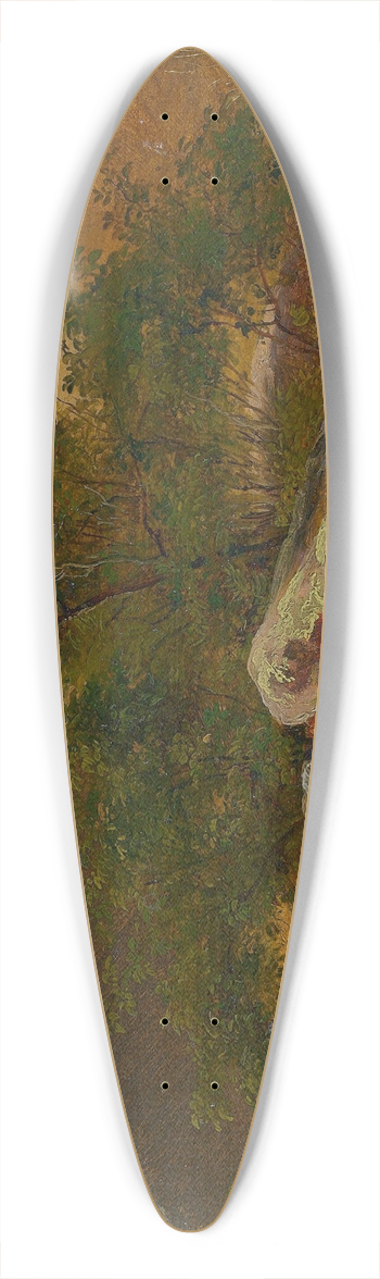 Robert Kummer - Partie aus dem Plauenschen Grund 39.3 inch art pintail longboard deck