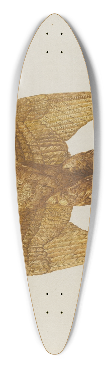 Robert Pohle - Architectural Ornament (Eagle) 39.3 inch art pintail longboard deck