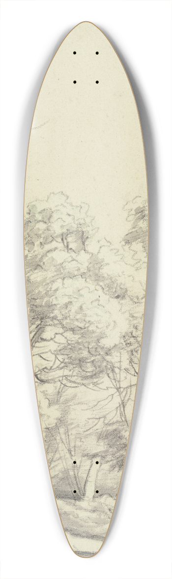 Roelant Roghman - Forest section 39.3 inch art pintail longboard deck