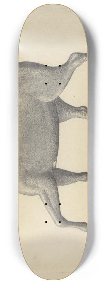 Gordon Sanborn - Horse Weather Vane 8.25 inch art skate deck