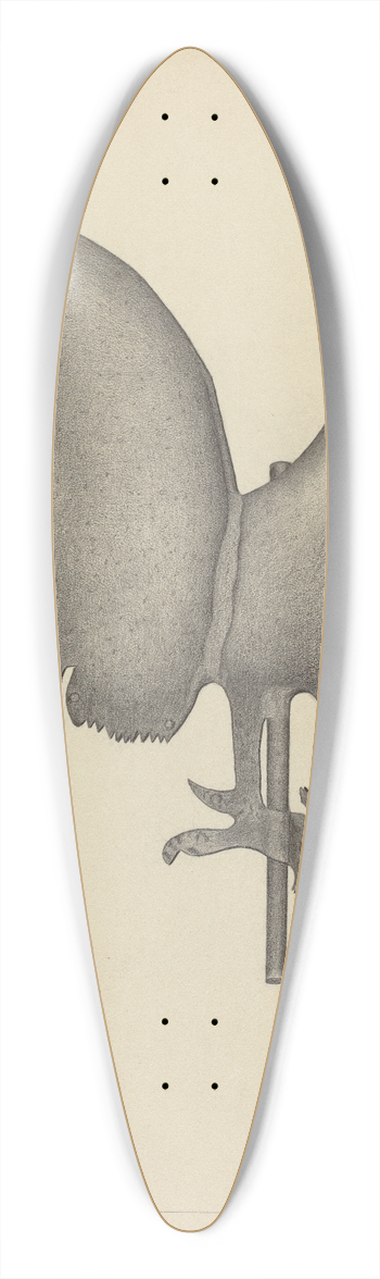 Rollington Campbell - Weather Vane 39.3 inch art pintail longboard deck