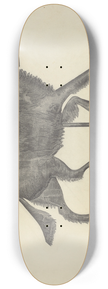 Gordon Sanborn - Weather Vane  Setter Dog 8.25 inch art skate deck