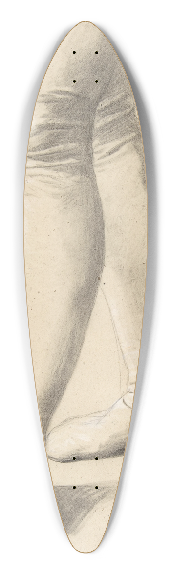Romain Cazes - Study of Legs 39.3 inch art pintail longboard deck
