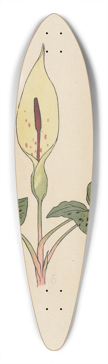Rudolf Koch - Blumenbuch 39.3 inch art pintail longboard deck
