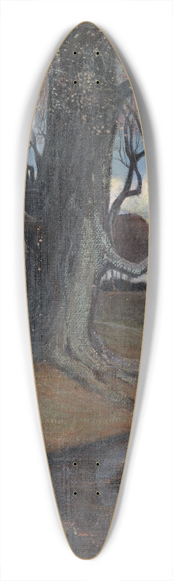 Rudolf Lw - Landscape 39.3 inch art pintail longboard deck