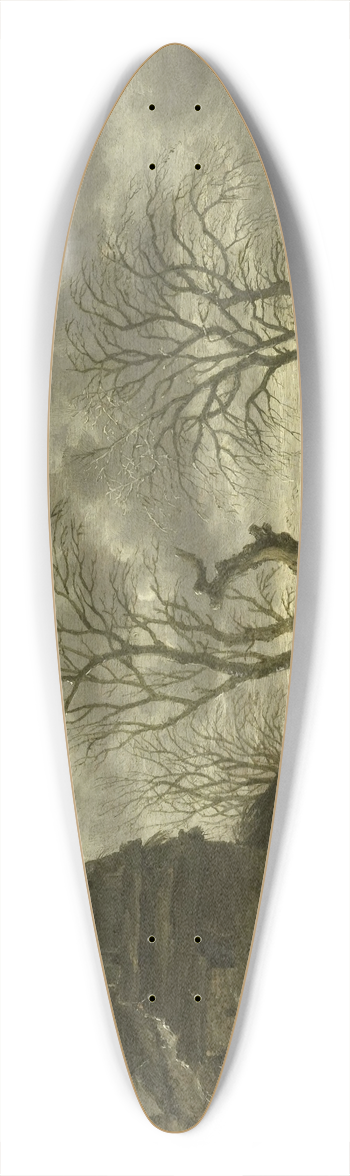 Salomon Rombouts - Winter scene 39.3 inch art pintail longboard deck