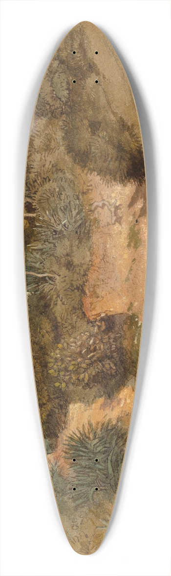 Samuel Colman - Path by Mosque 39.3 inch art pintail longboard deck