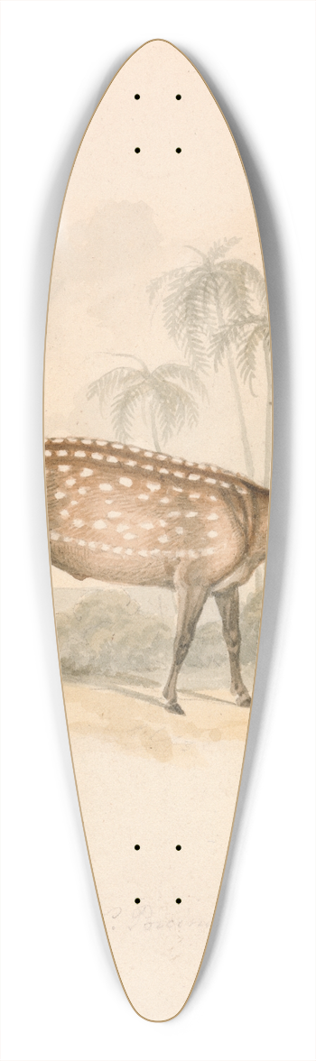 Samuel Howitt - Hog Deer 39.3 inch art pintail longboard deck