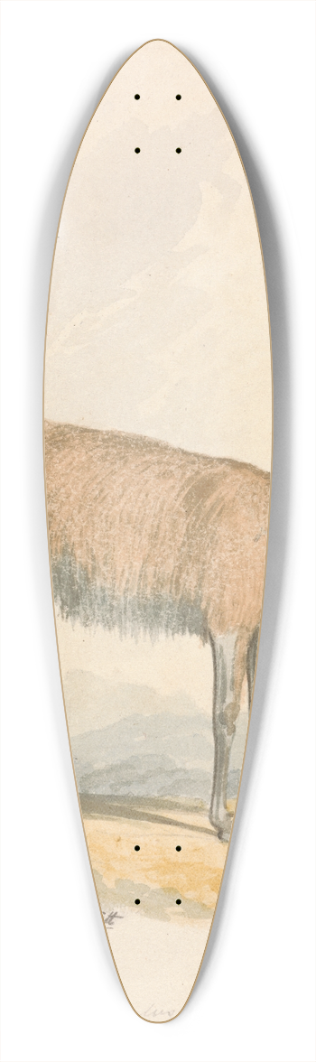 Samuel Howitt - Llama 39.3 inch art pintail longboard deck