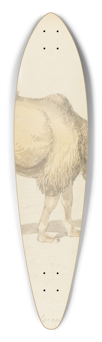 Samuel Howitt - Russian Camel 39.3 inch art pintail longboard deck