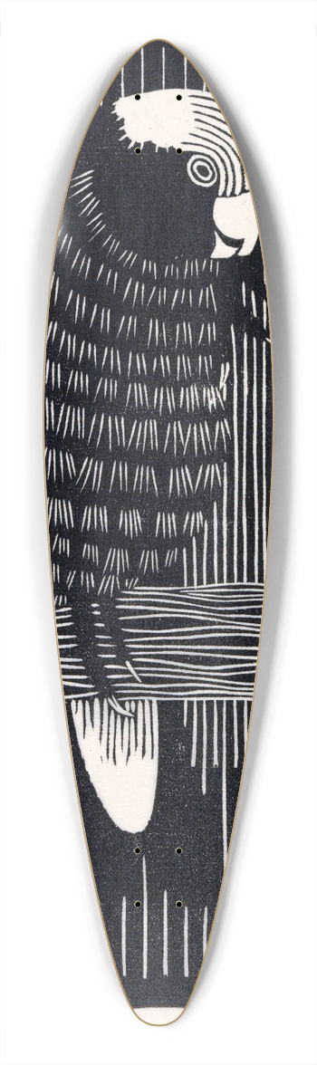 Samuel Jessurun de Mesquita - Roskaketoe 39.3 inch art pintail longboard deck
