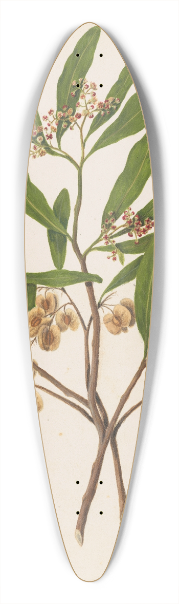 Sarah Featon - Akeake 39.3 inch art pintail longboard deck