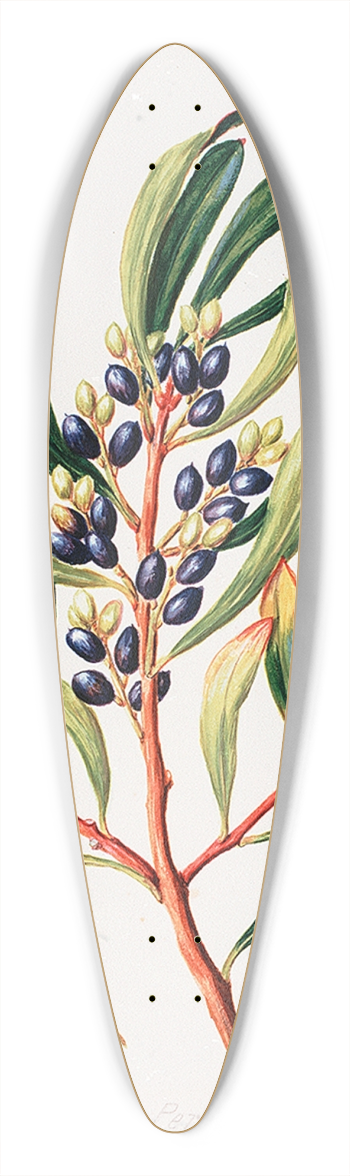 Sarah Featon - Toronia toru 39.3 inch art pintail longboard deck