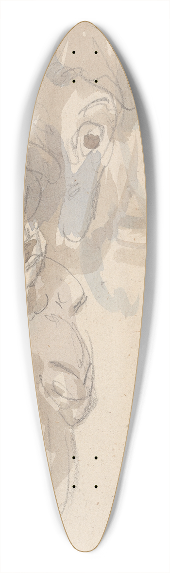 Sawrey Gilpin - Study of a camels head 39.3 inch art pintail longboard deck